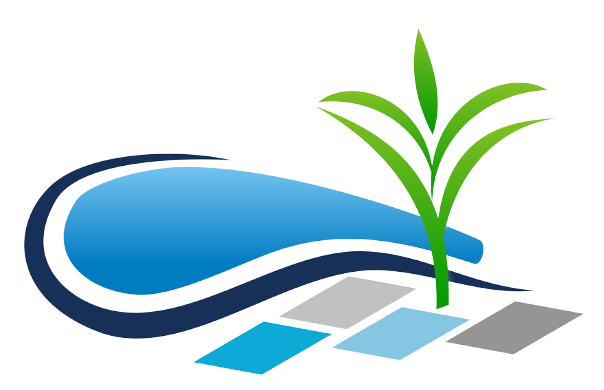 Scottsdale Pool Patio & Landscape Design